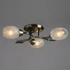 Потолочная люстра Arte Lamp ANETTA A6157PL-3AB