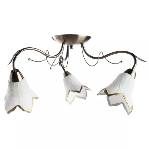 Потолочная люстра Arte Lamp BARBARA A6066PL-3AB