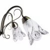 Подвесная люстра Arte Lamp FIORITA A6273LM-5AB