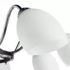 Потолочная люстра Arte Lamp FIORENTINO A7144PL-8BK
