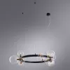 Подвесная люстра Arte Lamp VINCENT A7790SP-15BK