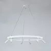 Подвесная люстра Arte Lamp RING A2186SP-1WH