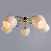 Потолочная люстра Arte Lamp MILLO A9549PL-5GO