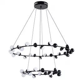 Подвесная люстра Arte Lamp DEXTER A3619SP-48BK