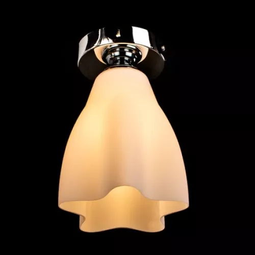 Потолочный светильник Arte Lamp CANZONE A3469PL-1CC