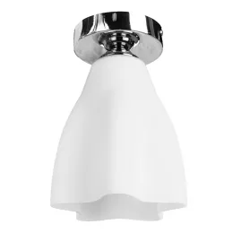 Потолочный светильник Arte Lamp CANZONE A3469PL-1CC