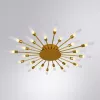Потолочная люстра Arte Lamp MAPLE A1276PL-24GO