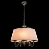 Подвесная люстра Arte Lamp AURORA A1150SP-5CC