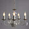 Подвесная люстра Arte Lamp ALI A6114LM-5WG