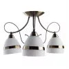Потолочная люстра Arte Lamp NOEMI A6192PL-3AB