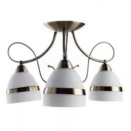 Потолочная люстра Arte Lamp NOEMI A6192PL-3AB