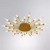 Потолочная люстра Arte Lamp MAPLE A1276PL-36GO