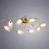 Потолочная люстра Arte Lamp MUGHETTO A9289PL-8GO