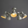 Потолочная люстра Arte Lamp MARTIN A5216PL-5WG