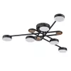 Потолочная люстра Arte Lamp TAYGETA A2455PL-6BK