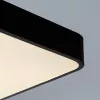 Потолочный светильник Arte Lamp SCENA A2662PL-1BK