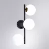 Настенно-потолочный светильник Arte Lamp GEMINI A2243PL-3BK