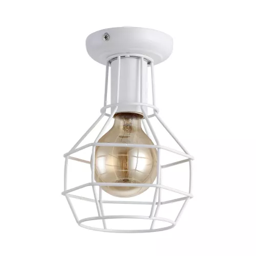Потолочный светильник Arte Lamp INTERNO A9182PL-1WH