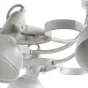 Потолочная люстра Arte Lamp MARTIN A5216PL-8WG