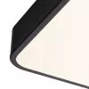 Потолочный светильник Arte Lamp SCENA A2687PL-45BK