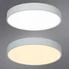 Потолочный светильник Arte Lamp ARENA A2661PL-1WH