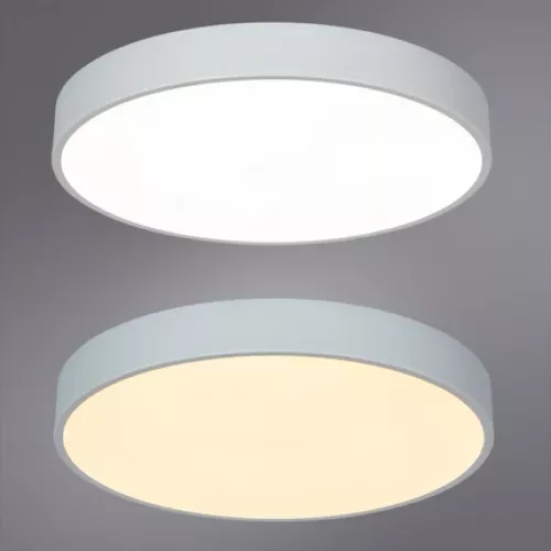 Потолочный светильник Arte Lamp ARENA A2661PL-1WH