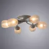 Потолочная люстра Arte Lamp PENNY A2701PL-6WG