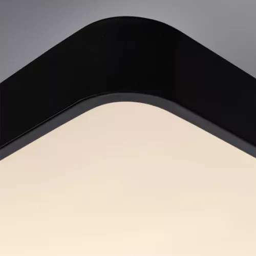 Потолочный светильник Arte Lamp SCENA A2663PL-1BK
