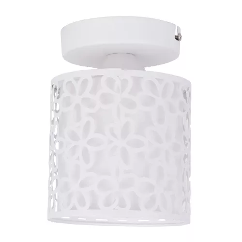 Потолочный светильник Arte Lamp TRAFORATO A8349PL-1WH