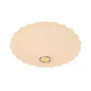 Потолочная люстра Arte Lamp COCOON A6090PL-2WH