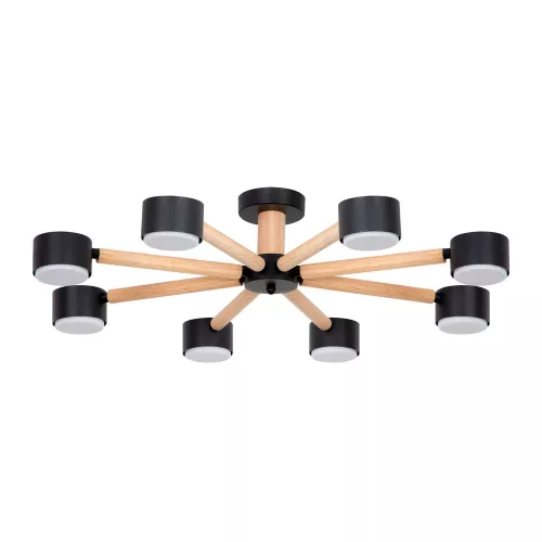 Потолочная люстра Arte Lamp TENDA A1624PL-8BK