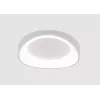 Потолочный светильник Arte Lamp SUALOCIN A2698PL-48WH