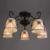 Потолочная люстра Arte Lamp FORTUNA A5495PL-5BR