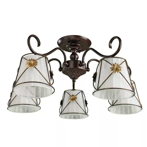 Потолочная люстра Arte Lamp FORTUNA A5495PL-5BR
