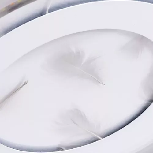 Потолочный светильник Arte Lamp MULTI-PIUMA A1397PL-1CL