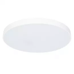 Потолочный светильник Arte Lamp ARENA A2671PL-1WH