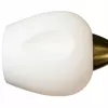 Потолочная люстра Arte Lamp BRIGHTON A2706PL-5CK