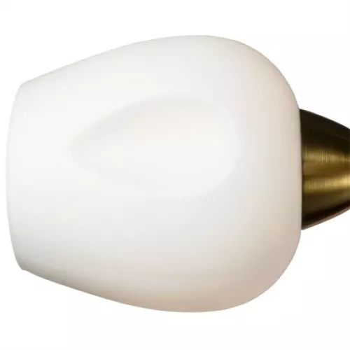Потолочная люстра Arte Lamp BRIGHTON A2706PL-5CK