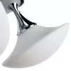 Потолочная люстра Arte Lamp AQUA A2550PL-3CC