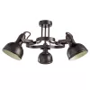 Потолочная люстра Arte Lamp MARTIN A5216PL-3BR