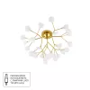 Потолочная люстра Arte Lamp CANDY A7274PL-27GO