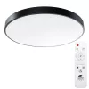 Потолочный светильник Arte Lamp ARENA A2673PL-1BK