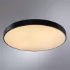 Потолочный светильник Arte Lamp ARENA A2673PL-1BK