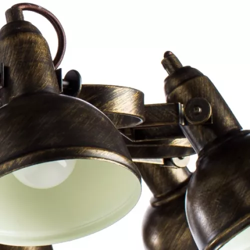 Потолочная люстра Arte Lamp MARTIN A5216PL-8BR