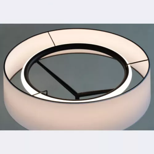 Декоративная настольная лампа Divinare ALMA 1029/06 TL-11