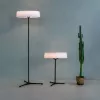 Декоративная настольная лампа Divinare ALMA 1029/06 TL-11
