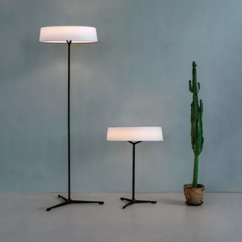 Декоративная настольная лампа Divinare ALMA 1029/06 TL-11