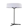 Декоративная настольная лампа Divinare ALMA 1029/06 TL-11