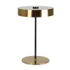 Декоративная настольная лампа Arte Lamp ELNATH A5038LT-3PB