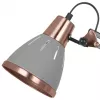 Офисная настольная лампа Arte Lamp PIXAR A2246LT-1GY